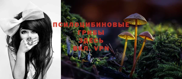 ALPHA PVP Заволжье