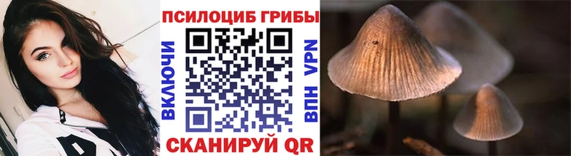 Галлюциногенные грибы Psilocybe  как найти закладки  Северо-Курильск 